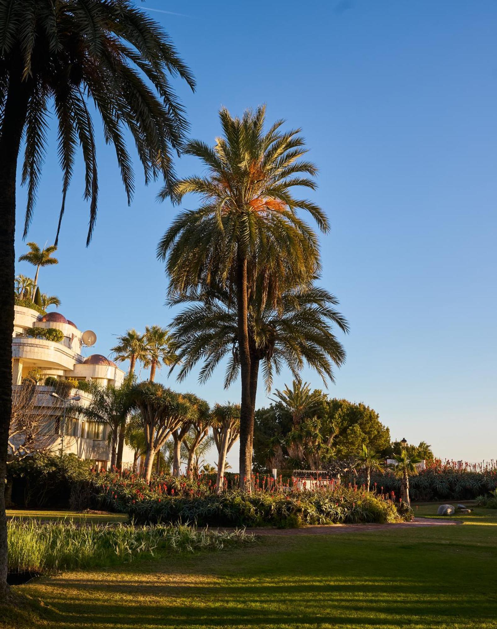 Luxury 4 Bed Flat - Beachfront In Puerto Banus Habitación en casa particular Marbella