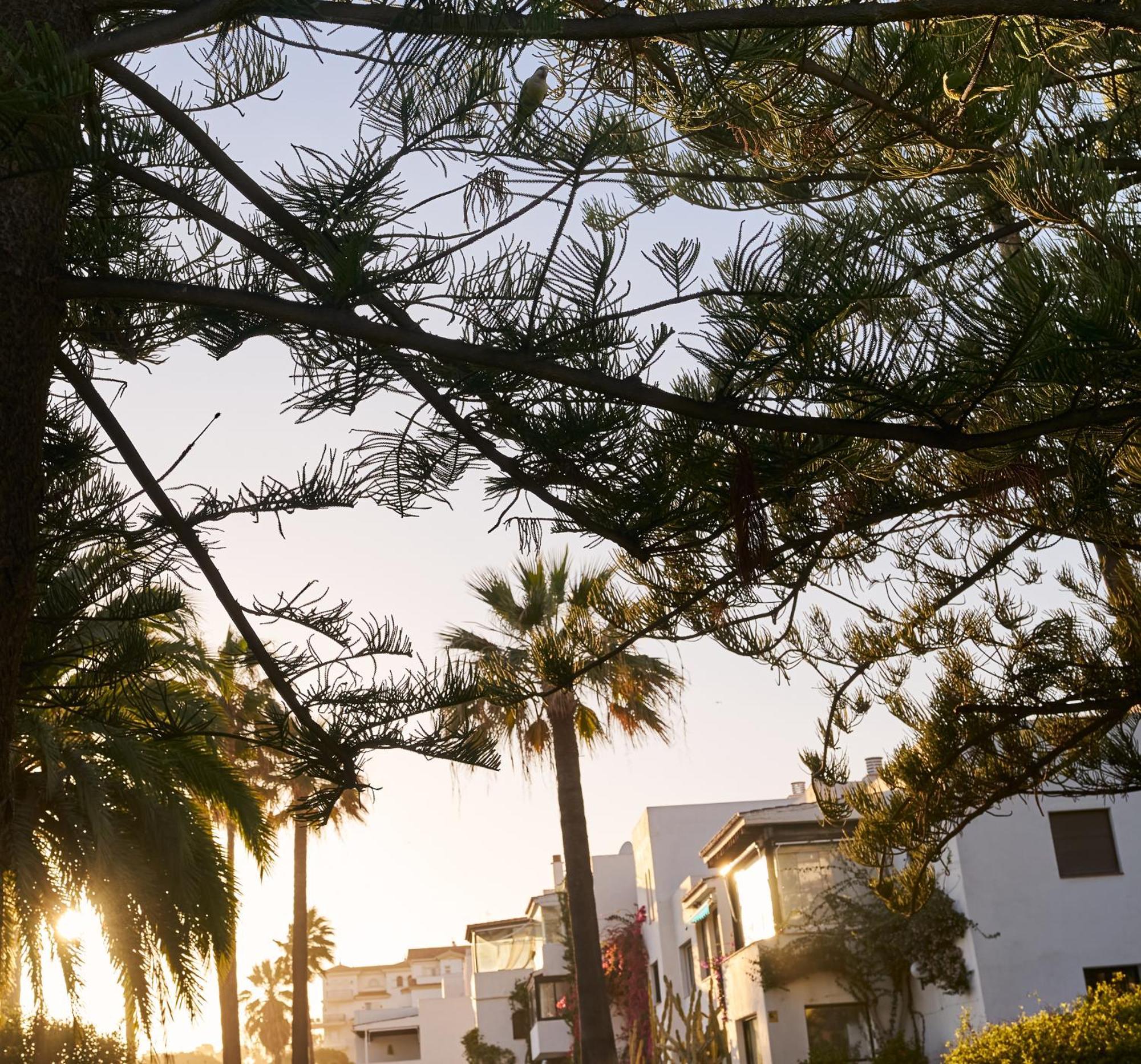 Habitación en casa particular Luxury 4 Bed Flat - Beachfront In Puerto Banus Marbella